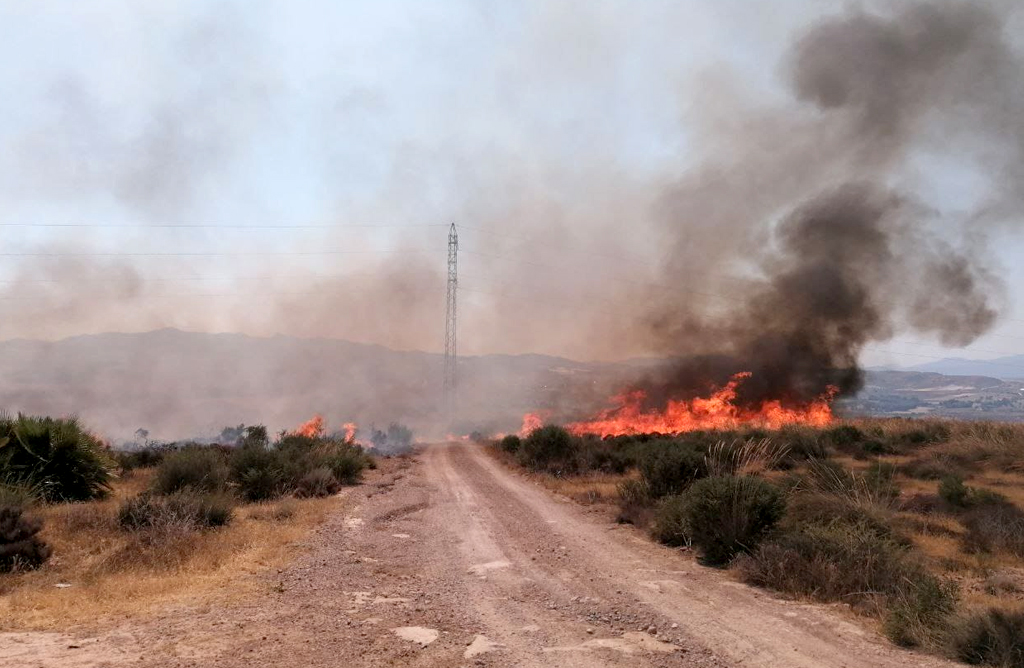 Un incendio arrasa unas 2 hectáreas de terreno en El Saladillo (Mazarrón)